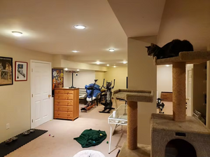 CAMERA REVIEW #7.png