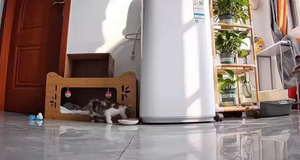 CAMERA REVIEW #8.png